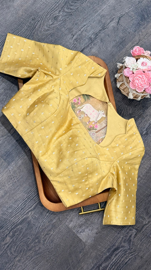 Organza with cervical silver stripes on the body and pichwai embroidery