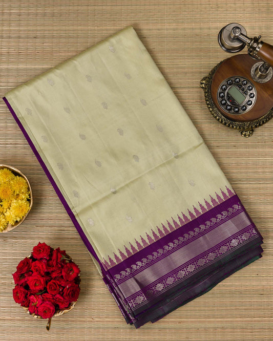 Mint Green & Purple Pure Gadwal Handloom with Banaras Blouse